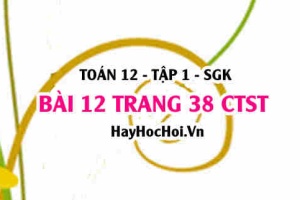 Bài 12 trang 38 Toán 12 tập 1 Chân trời sáng tạo